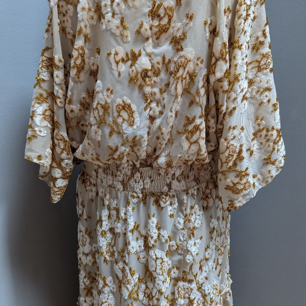 Hemant & Nandita Inara Flocked Lurex Chiffon Long Dress - Medium - See Notes - Picture 9 of 16